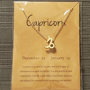 ♑CAPRICORN Zodiac Sign Pendant Necklace